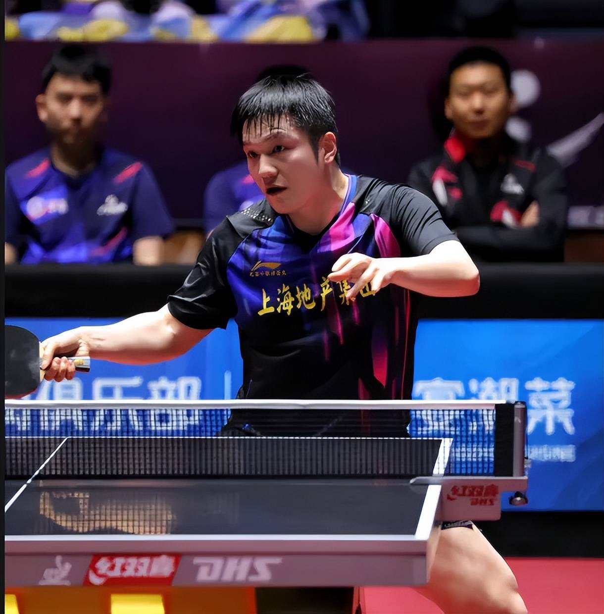 正式官宣！樊振东将征战欧冠联赛，率德甲球队冲欧冠四连冠